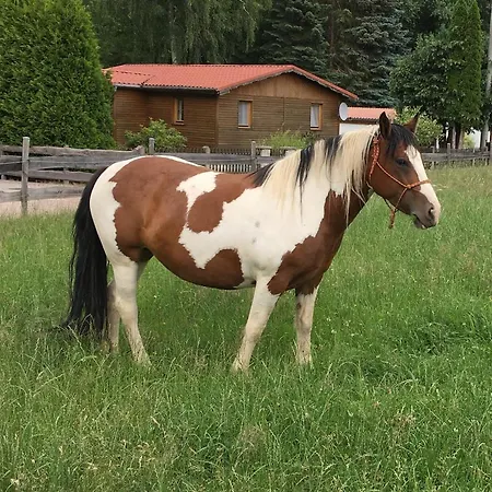 Nyaraló Cs-ranchhaus *