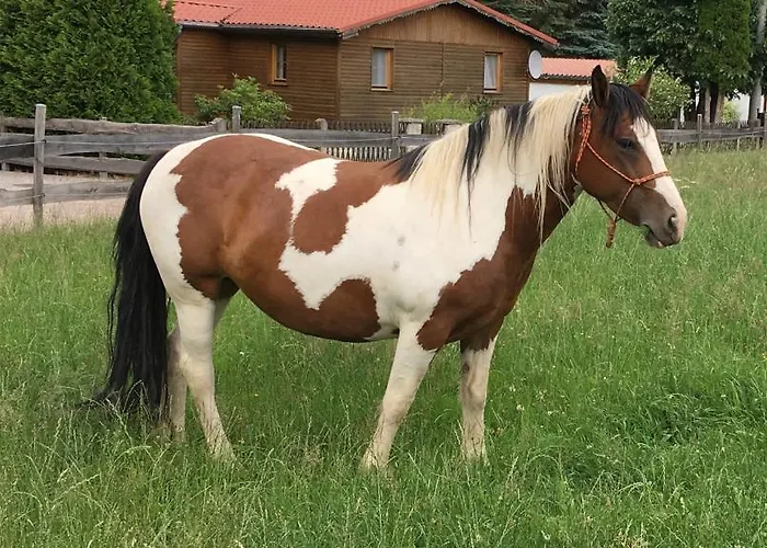 Feriehus Cs-ranchhaus *